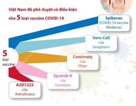 5-loai-vaccine-COVID-19-duoc-cap-phep-su-dung-khan-cap.jpg