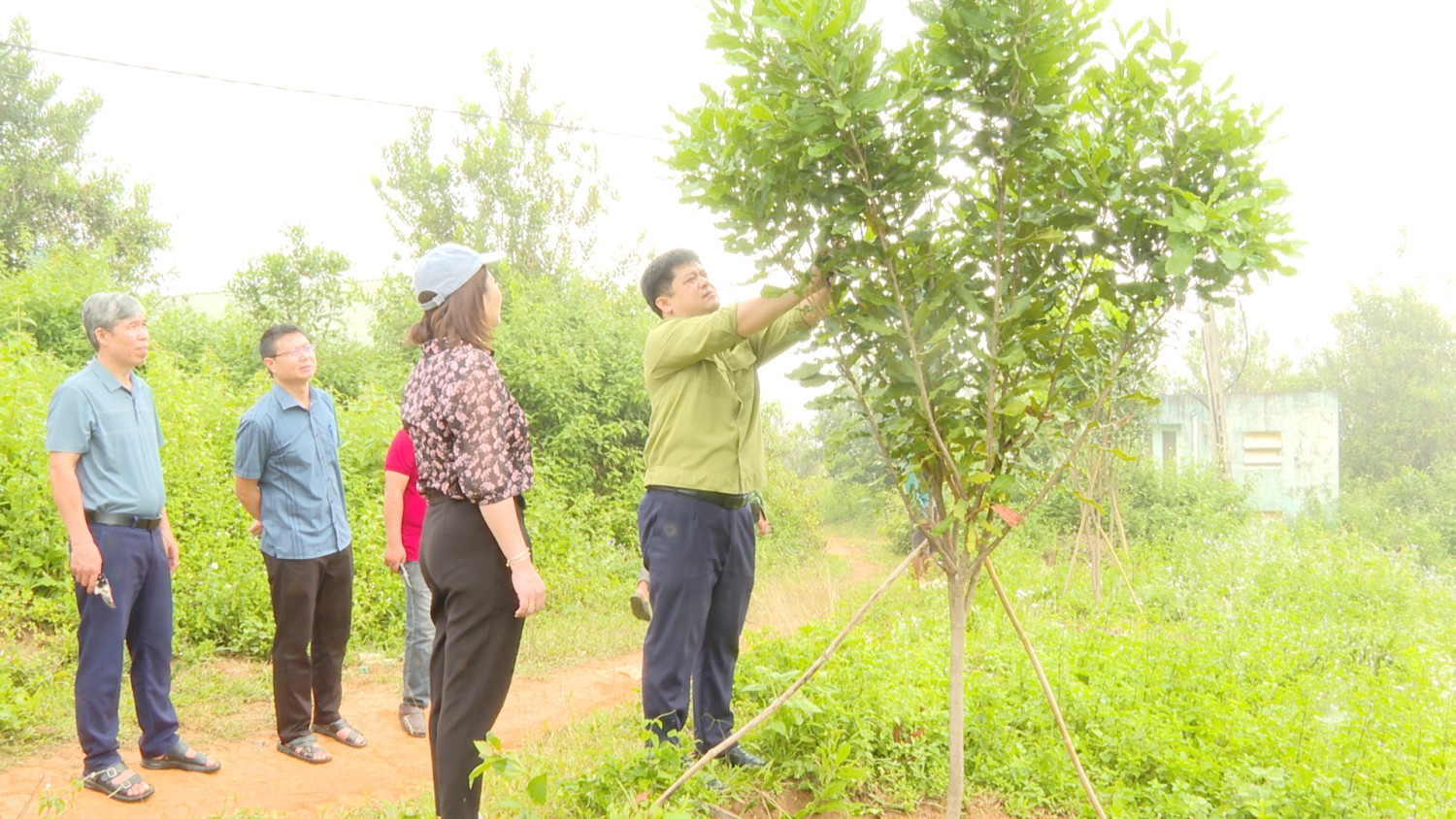 Kiểm tra tình hình sinh trưởng, phát triển của cây...